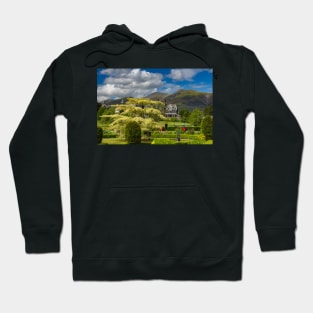 Windermere18 Hoodie